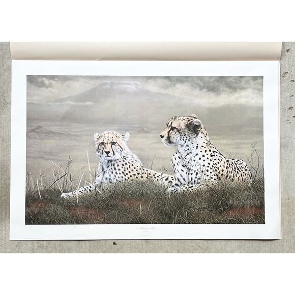 1983 Charles Fracé “A Moment’s Rest, Cheetah” Signed Large Print w/COA 32”X24” - Picture 6 of 10